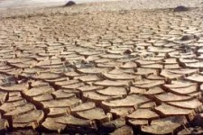 POEMA: A seca e a má vontade política