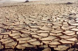 MINISTRO apresenta ao Senado plano estratégico para enfrentar seca no semiárido