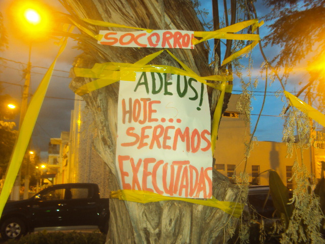 PROTESTO: Morador denuncia tentativa de destruição de árvores históricas em ST