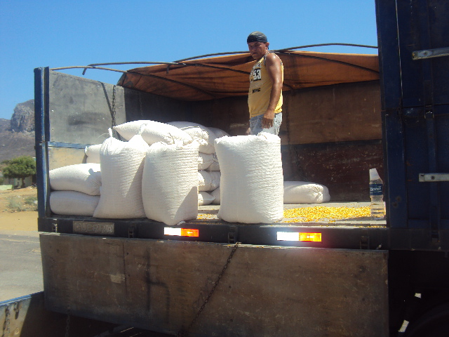 ATÉ QUE ENFIM: Com 5 meses de atraso, chega a ST 100 toneladas de milho para ração animal
