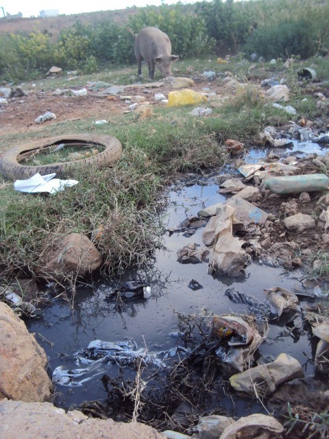Moradores ainda convivem com o drama da falta de saneamento em Serra Talhada