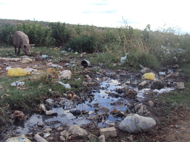 Moradores ainda convivem com o drama da falta de saneamento em Serra Talhada