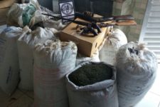 Polícia apreende quatro armas e quase 200 kg de maconha no Sertão