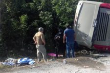 Acidente rodoviário mata 12 turistas e fere brasileiros