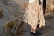 Risco de ataques de macacos no Taj Mahal