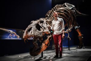Museu expõe esqueleto inédito dinossauro