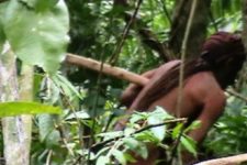 ONG pede proteção para indígena sobrevivente