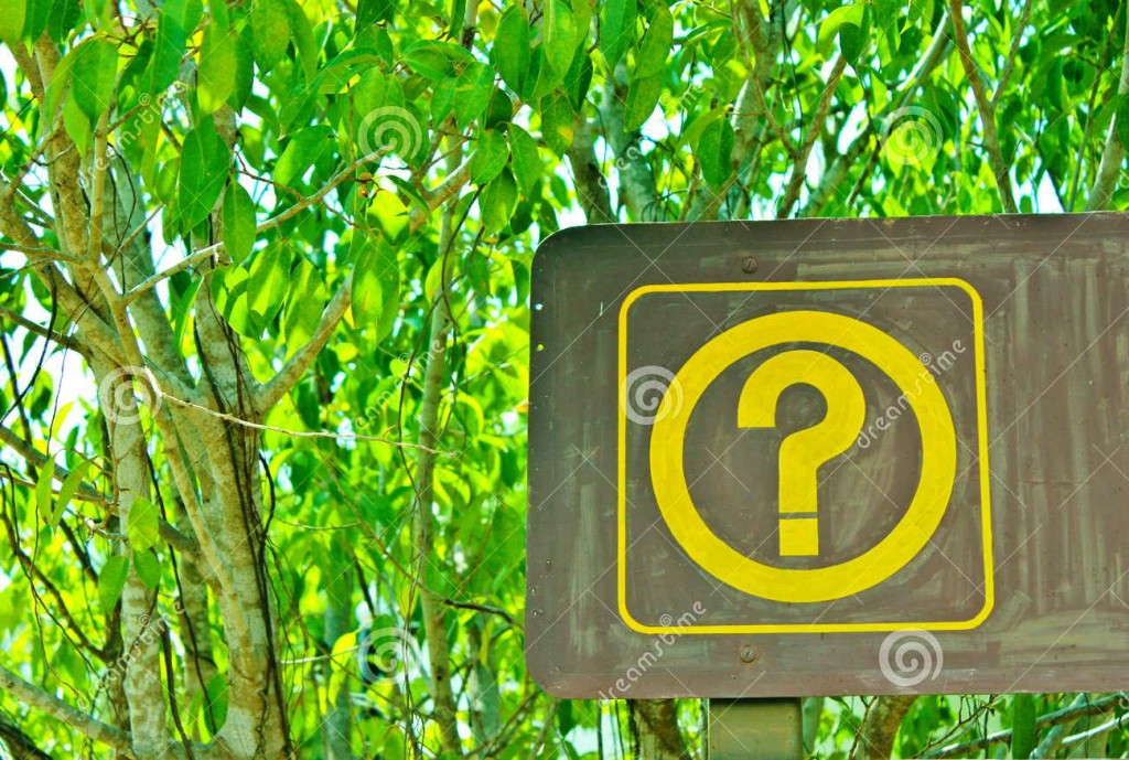 http://www.dreamstime.com/royalty-free-stock-photo-question-mark-image29699905