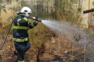 Bombeiros combatem incêndio às margens da 232