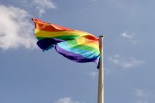 Ministra do STF derruba prática da 'cura gay'