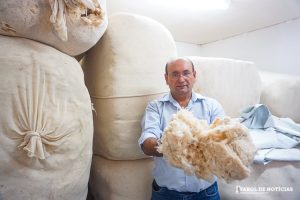ST quer exportar cerca de 100 toneladas de algodão