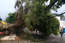Tempestade deixa cinco mortos no Rio
