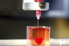 Cientistas apresentam coração em 3D