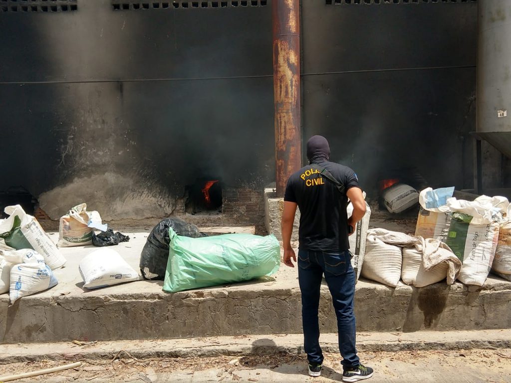 Polícia incinera mais de 250 kg de maconha em ST