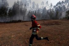 Portugal declara situação de alerta por risco de incêndios florestais