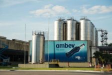 Ambev abre vagas para trainees com salário de R$ 7 mil