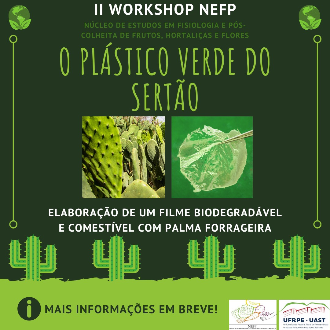 Serra Talhada vai debater o 'Plástico Verde do Sertão'