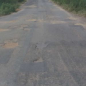 Buraqueira toma conta de rodovia do Pajeú