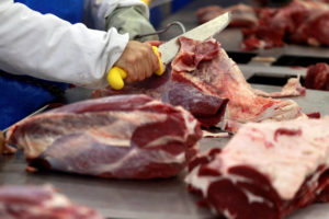 Frigoríficos interrompem compra de gado após caso de vaca louca