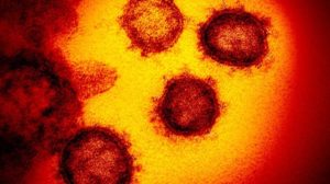 Variante ômicron do coronavírus é 'muito transmissível'