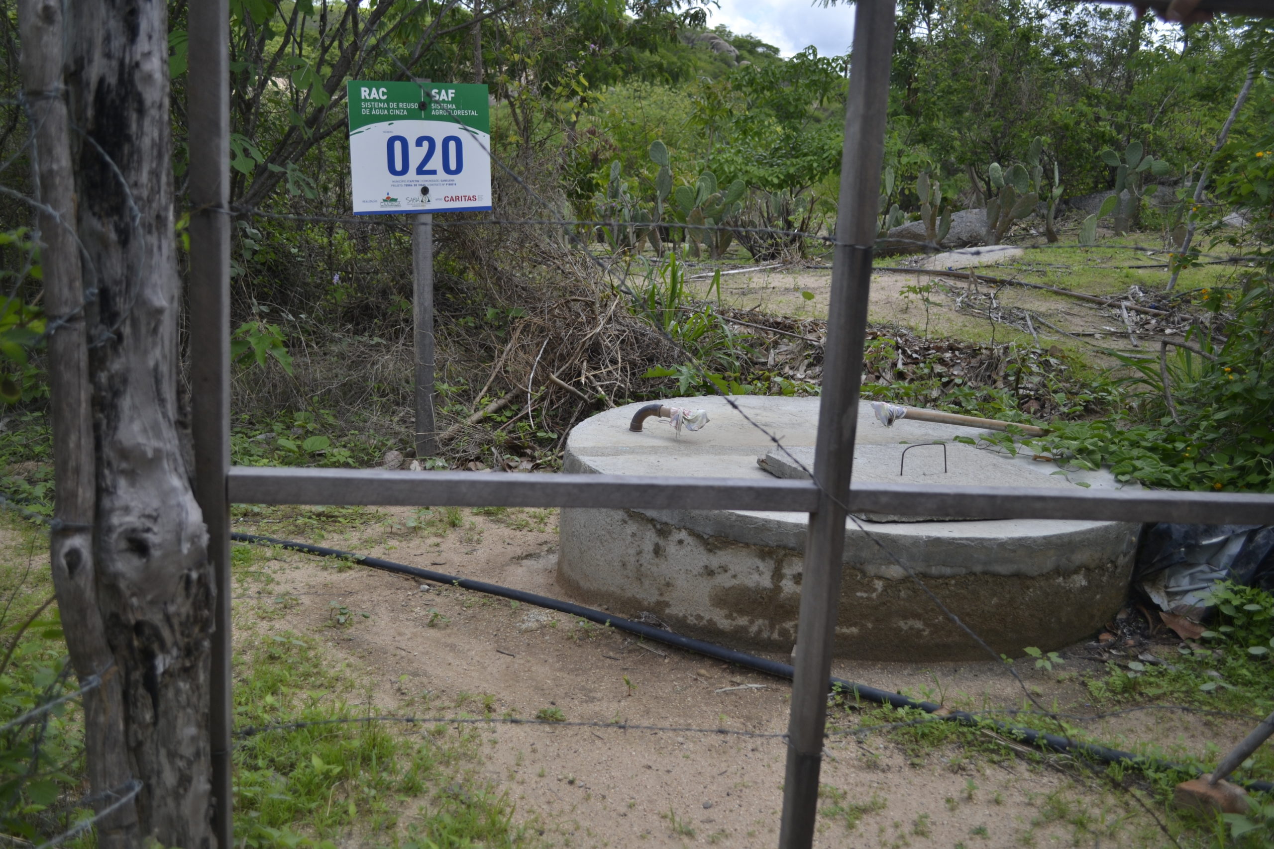 Tecnologia reutiliza água para agroflorestas