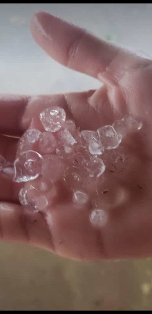 Chuva de granizo deixa rastro de destruição em Mirandiba