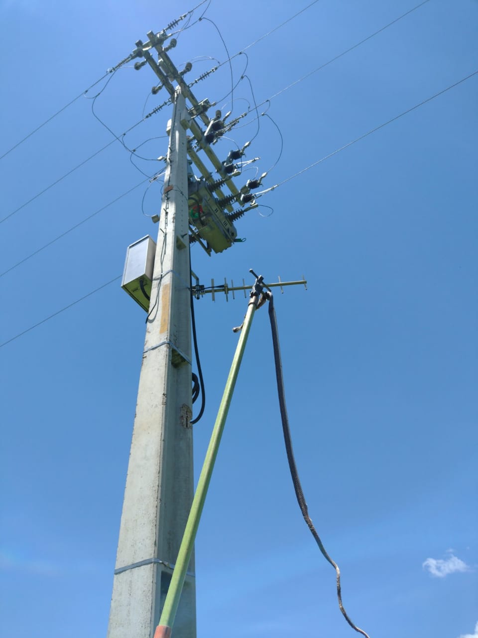 Serpente enroscada em poste causa queda de energia em ST