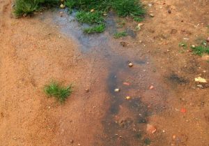 Esgoto aberto invade residência em bairro de Serra Talhada