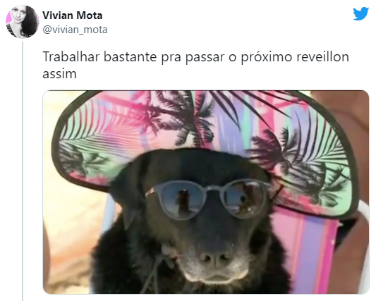 Cachorra de óculos de sol e chapéu: memes tomam conta das redes sociais