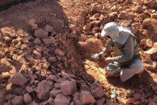 Paleontólogo descobre ovos com 80 milhões de anos