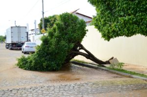 Chuva de 110 mm causa prejuízos em bairros de ST