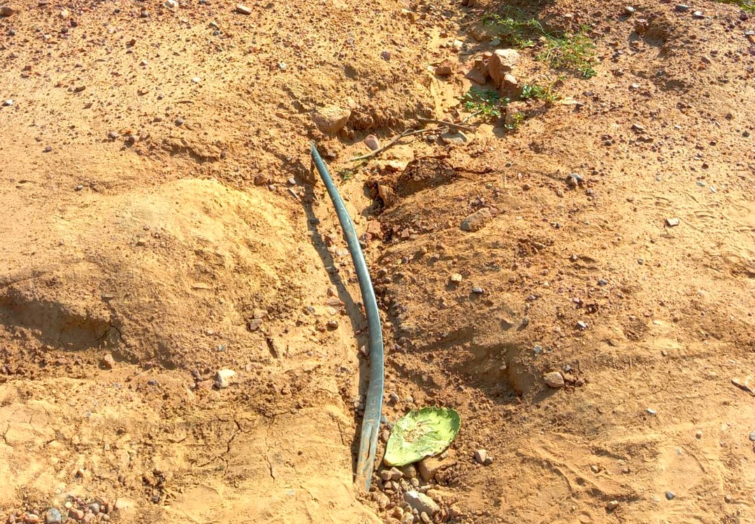 Moradora de ST convida secretário para andar de moto em estrada rural