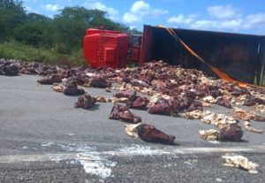 Caminhão com cabeças de boi tomba no Sertão