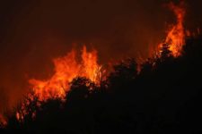 Incêndios florestais arrasam nordeste da Argentina
