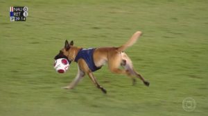 Cachorro da PM invade campo e ''rouba'' a bola durante jogo