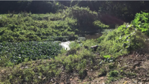 Corpo é encontrado boiando em Açude