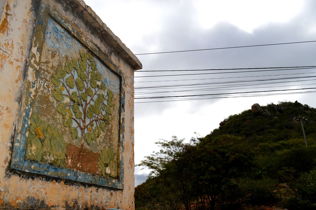 A Festa do Algodão e a história da Fazenda Saco em Serra Talhada