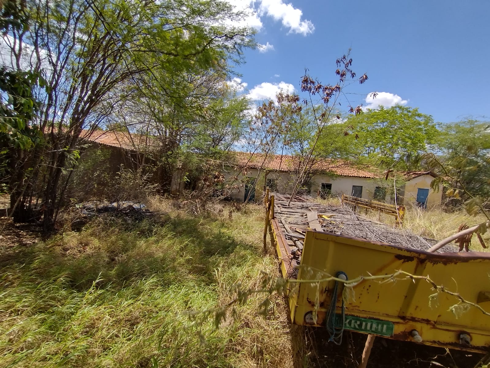 Sindicato denuncia abandono do IPA em ST