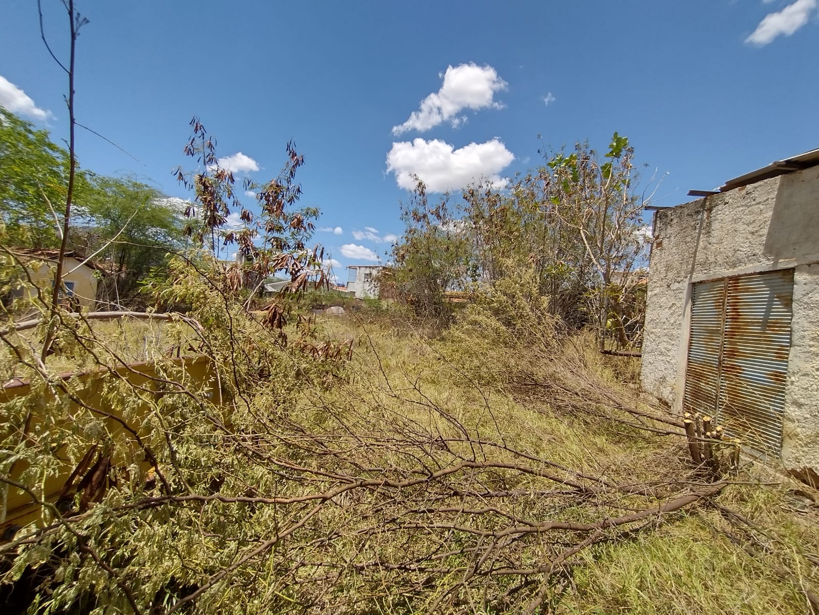 Sindicato denuncia abandono do IPA em ST