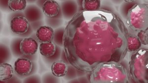 Cientistas desenvolvem embriões sem óvulos ou espermatozoides