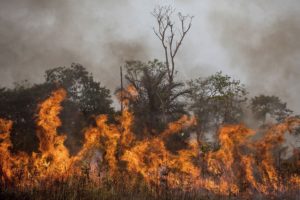 Amazônia tem pior agosto de queimadas dos últimos 12 anos