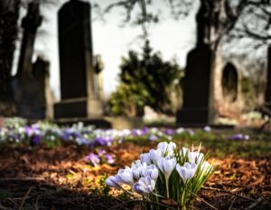 Crimes de ódio e intolerância política entram para a história do Brasil