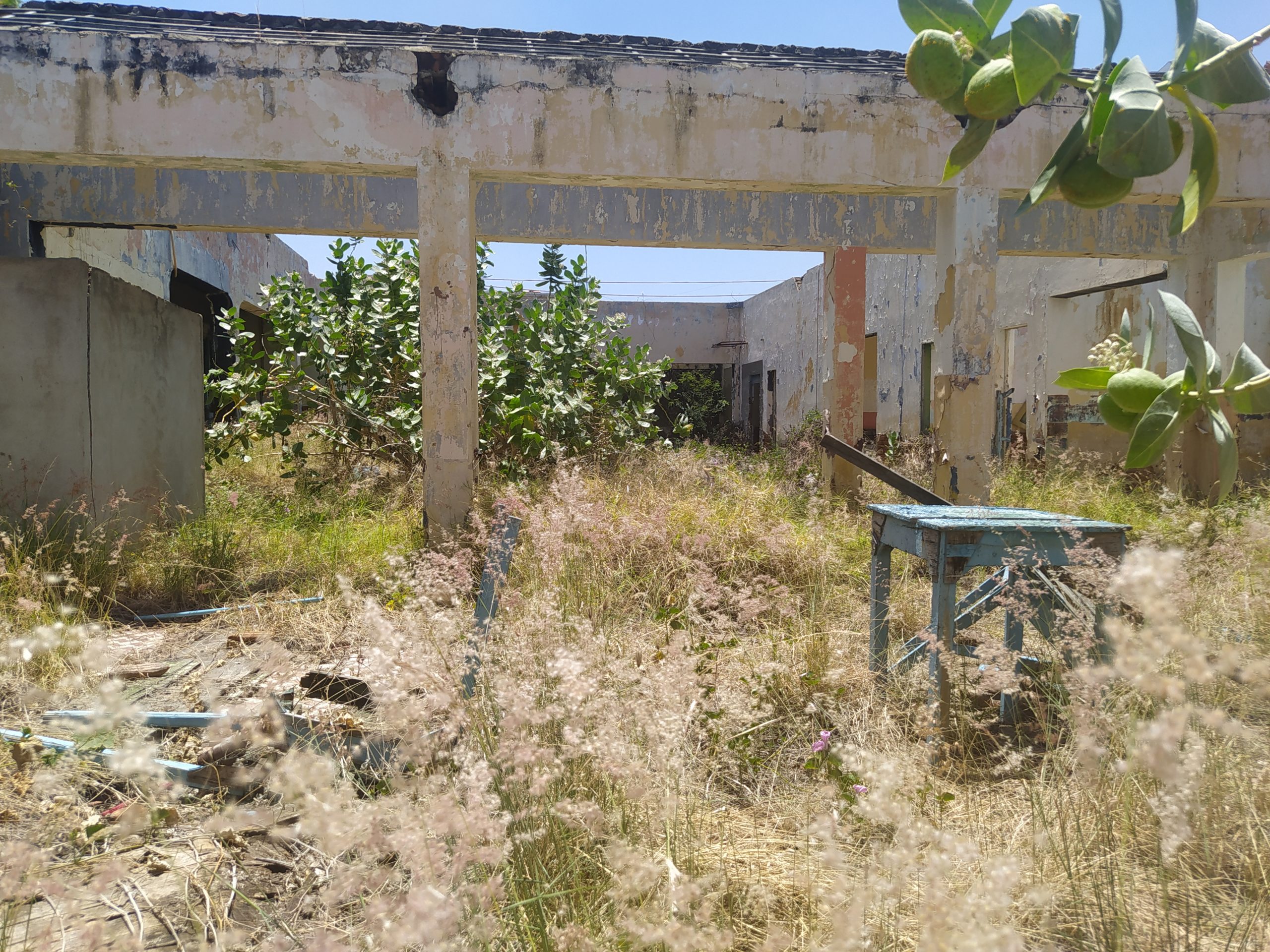 O abandono do CIST é uma vergonha para classe política de ST