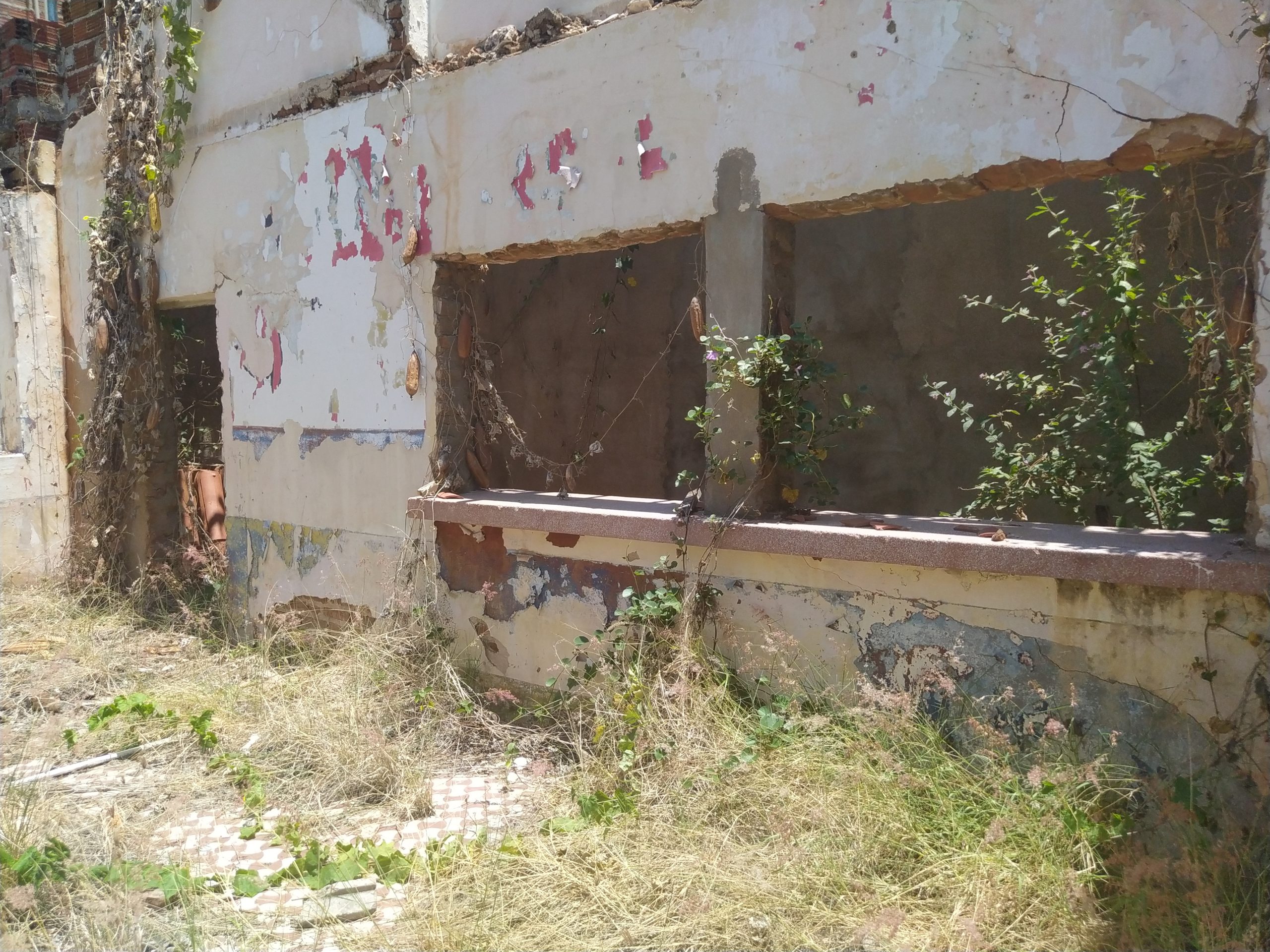 O abandono do CIST é uma vergonha para classe política de ST
