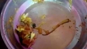 Homem é internado após achar rabo de lagarto em prato de restaurante