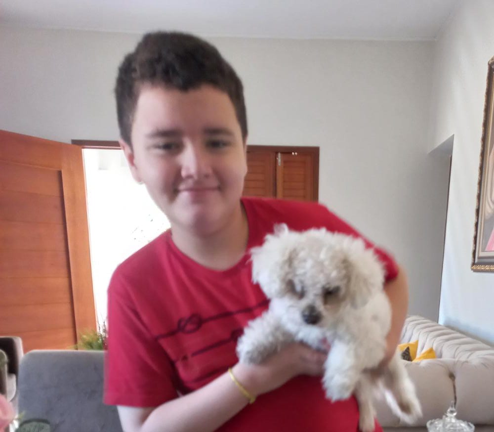 Família de ST busca cachorro perdido há uma semana