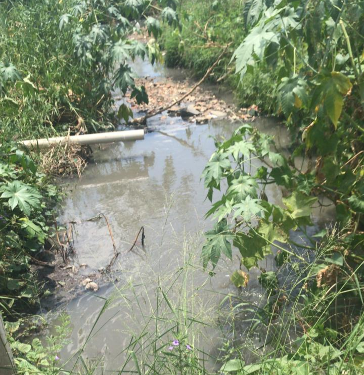 Serra-talhadense sem água há 4 meses