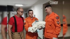 Bombeiros resgatam recém-nascido deixado em calçada