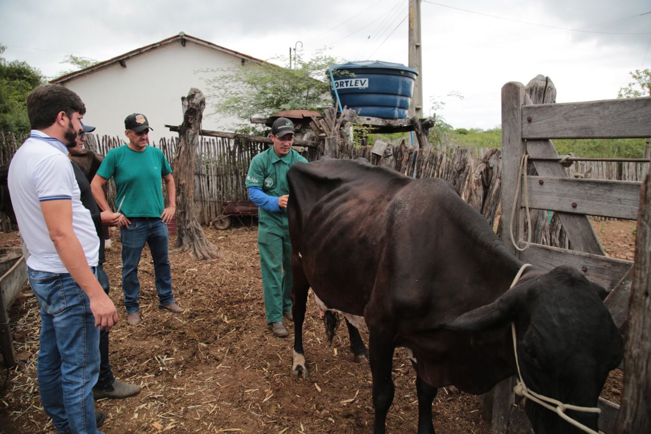 Criadores recebem tecnologias de inseminação