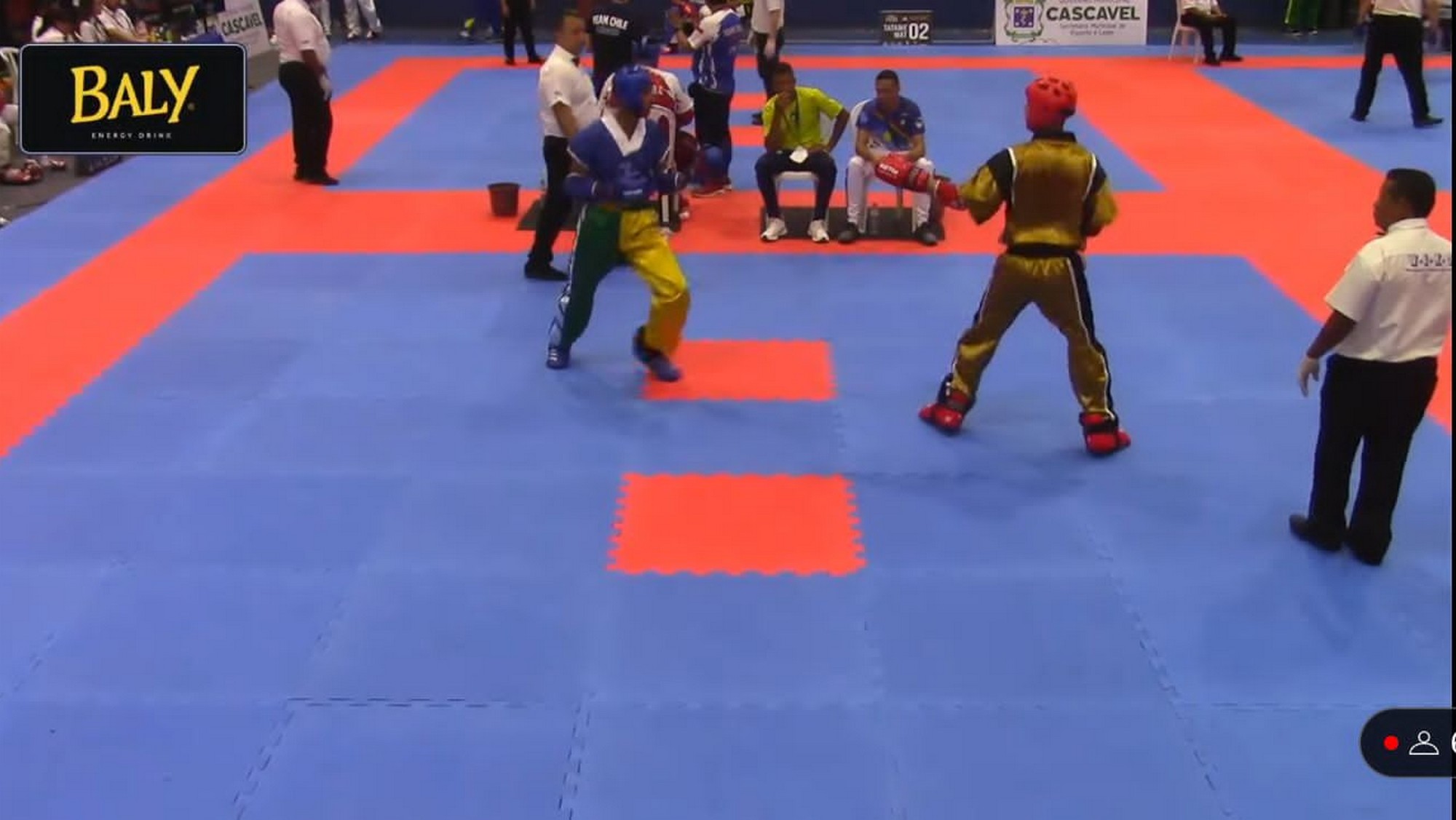 Atleta com raízes em ST é campeão Pan-Americano de Kickboxing